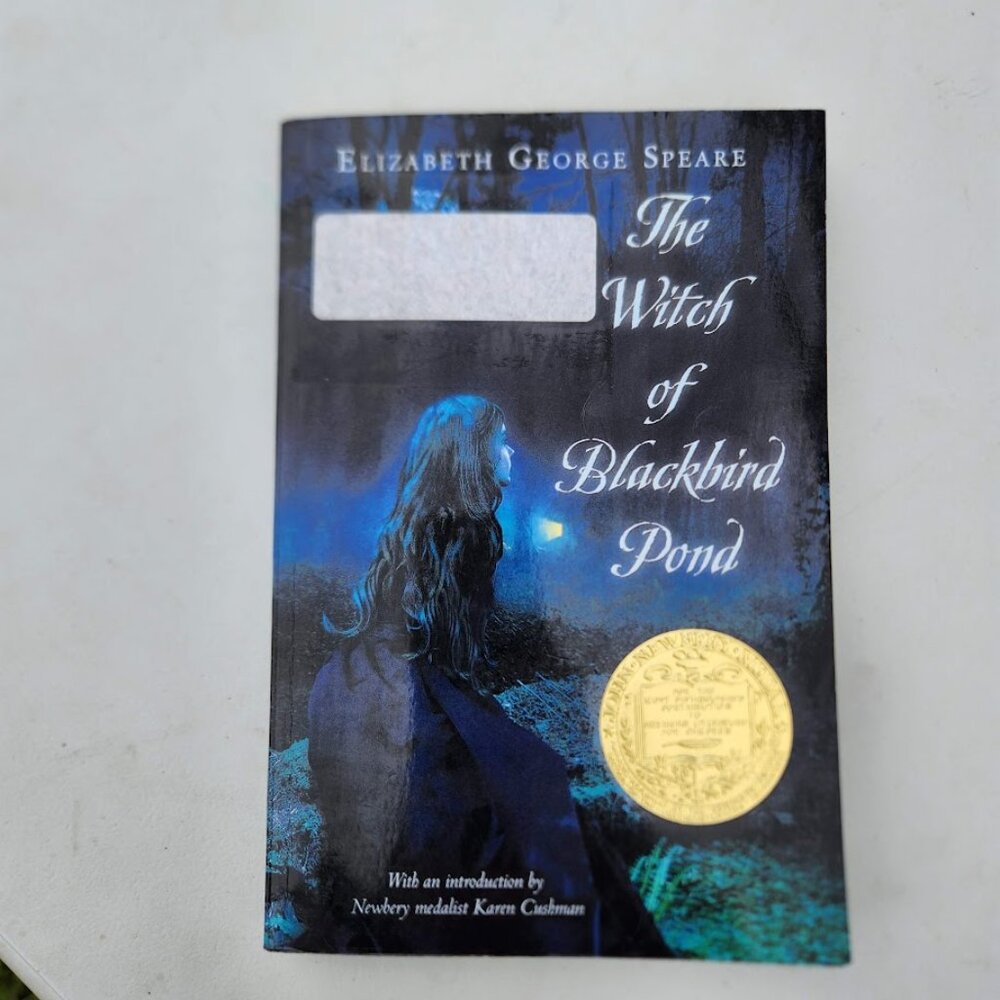 The Witch of Blackbird Pond Newbery Award Winner Paperback Book Fiction Chapter